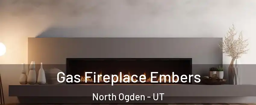  Gas Fireplace Embers North Ogden - UT